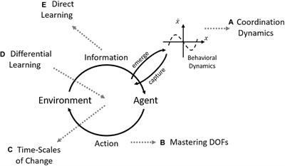 Search Strategies in the Perceptual-Motor Workspace and the Acquisition of Coordination, Control, and Skill